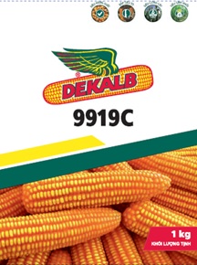 Dekalb DK9919C